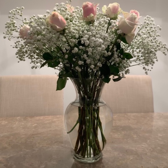 Meet your Posher, Bianca - Picture 1 of 1